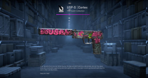 USP-S | Cortex (Battle-Scarred) Screenshot