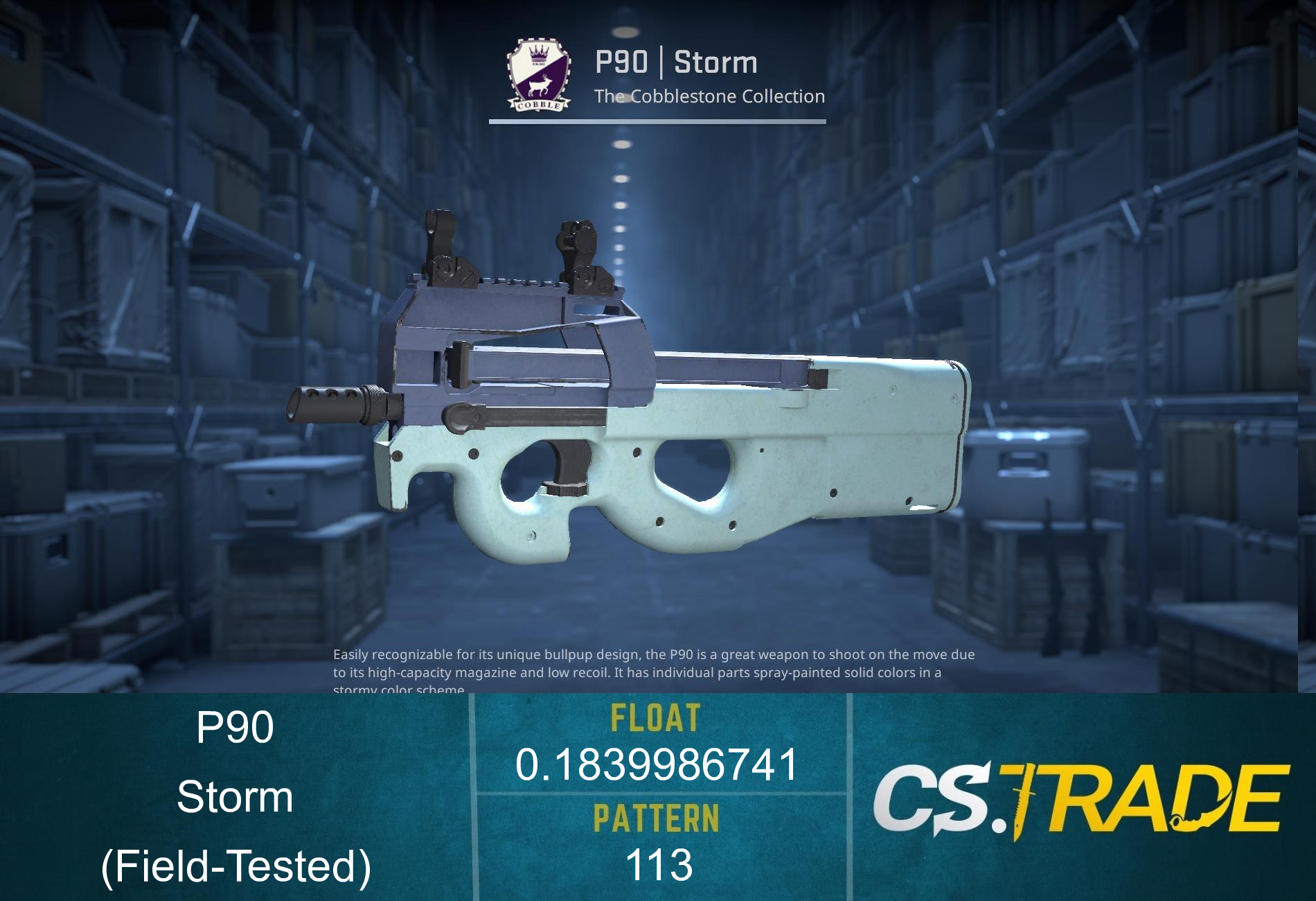 P90 | Storm (Field-Tested) Screenshot