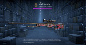 AWP | Duality (Minimal Wear) Screenshot