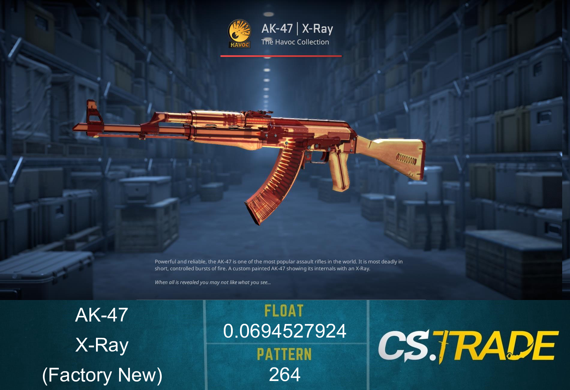 AK-47 | X-Ray (Factory New) Screenshot