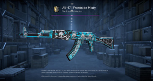 AK-47 | Frontside Misty (Minimal Wear) Screenshot