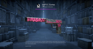 USP-S | Cortex (Minimal Wear) Screenshot