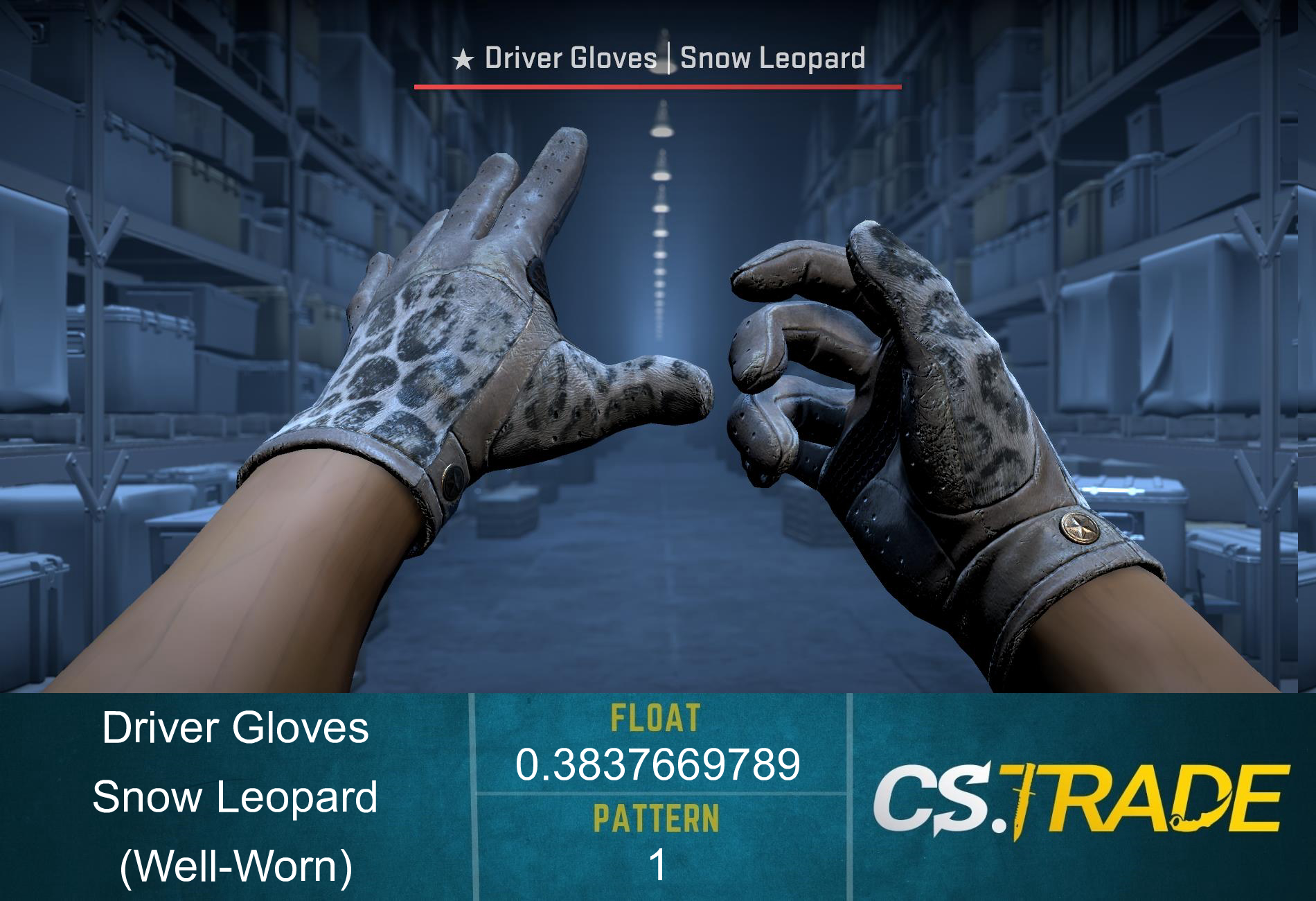 ★ Driver Gloves | Snow Leopard (Well-Worn) Screenshot