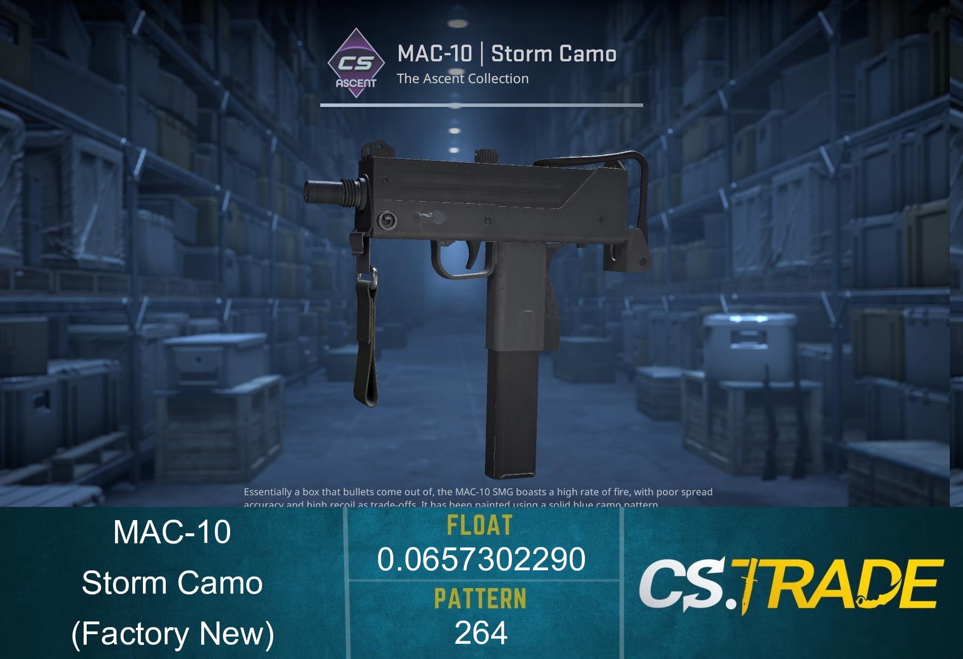 MAC-10 | Storm Camo (Factory New) Screenshot