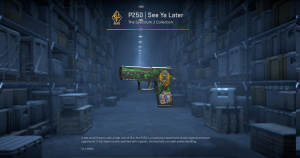 P250 | See Ya Later (Battle-Scarred) Screenshot