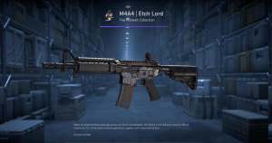 M4A4 | Etch Lord (Factory New) Screenshot
