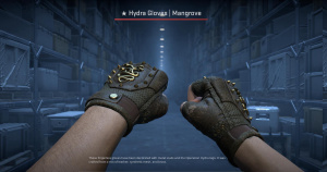 ★ Hydra Gloves | Mangrove (Well-Worn) Screenshot