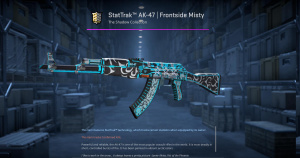 StatTrak™ AK-47 | Frontside Misty (Field-Tested) Screenshot