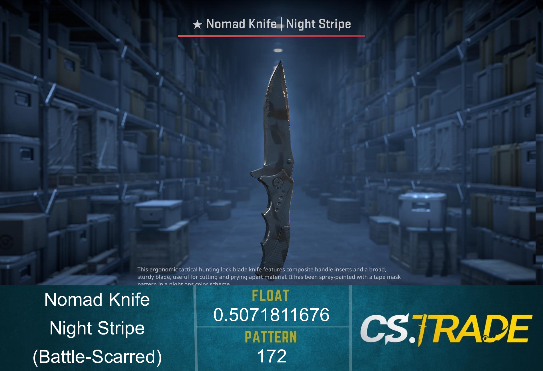 ★ Nomad Knife | Night Stripe (Battle-Scarred) Screenshot