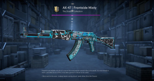 AK-47 | Frontside Misty (Field-Tested) Screenshot