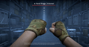 ★ Hand Wraps | Arboreal (Battle-Scarred) Screenshot