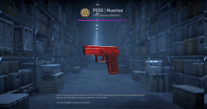 P250 | Muertos (Field-Tested) Screenshot