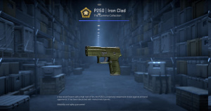 P250 | Iron Clad (Factory New) Screenshot