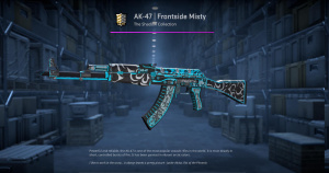 AK-47 | Frontside Misty (Well-Worn) Screenshot