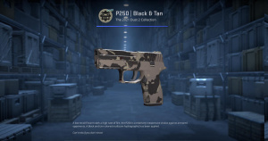 P250 | Black & Tan (Minimal Wear) Screenshot