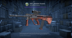 AUG | Random Access (Factory New) Screenshot