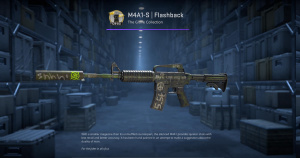 M4A1-S | Flashback (Minimal Wear) Screenshot