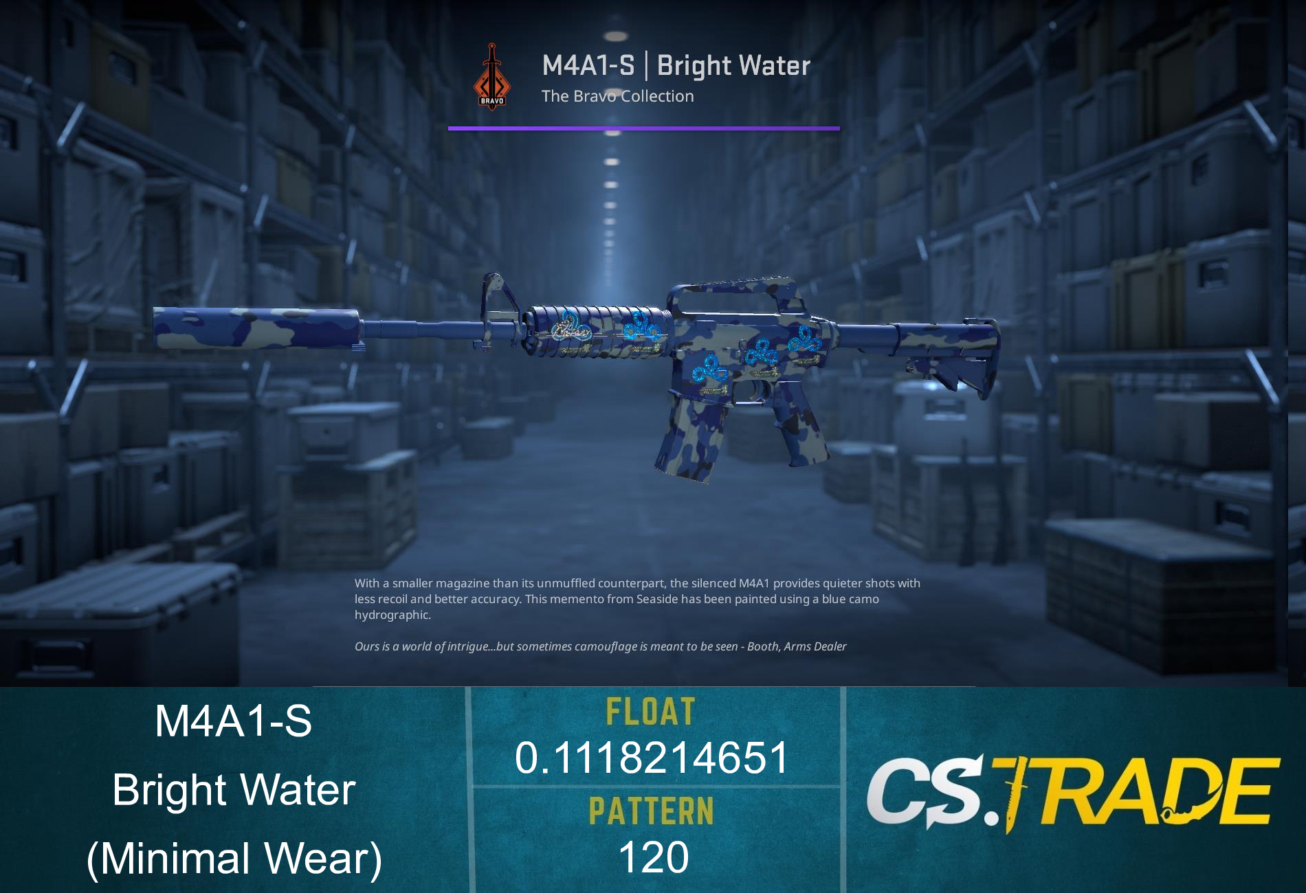 M4A1-S | Bright Water (Minimal Wear) Screenshot