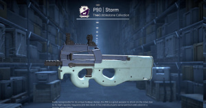 P90 | Storm (Field-Tested) Screenshot