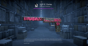 USP-S | Cortex (Well-Worn) Screenshot