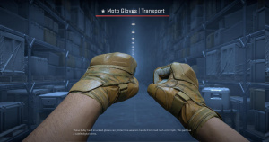 ★ Moto Gloves | Transport (Well-Worn) Screenshot