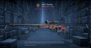 AWP | Duality (Minimal Wear) Screenshot