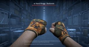 ★ Hand Wraps | Badlands (Well-Worn) Screenshot