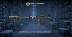 M4A1-S | Flashback (Field-Tested) Screenshot