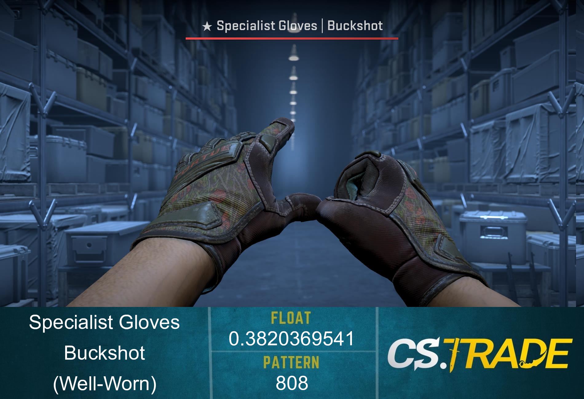 ★ Specialist Gloves | Buckshot (Well-Worn) Screenshot