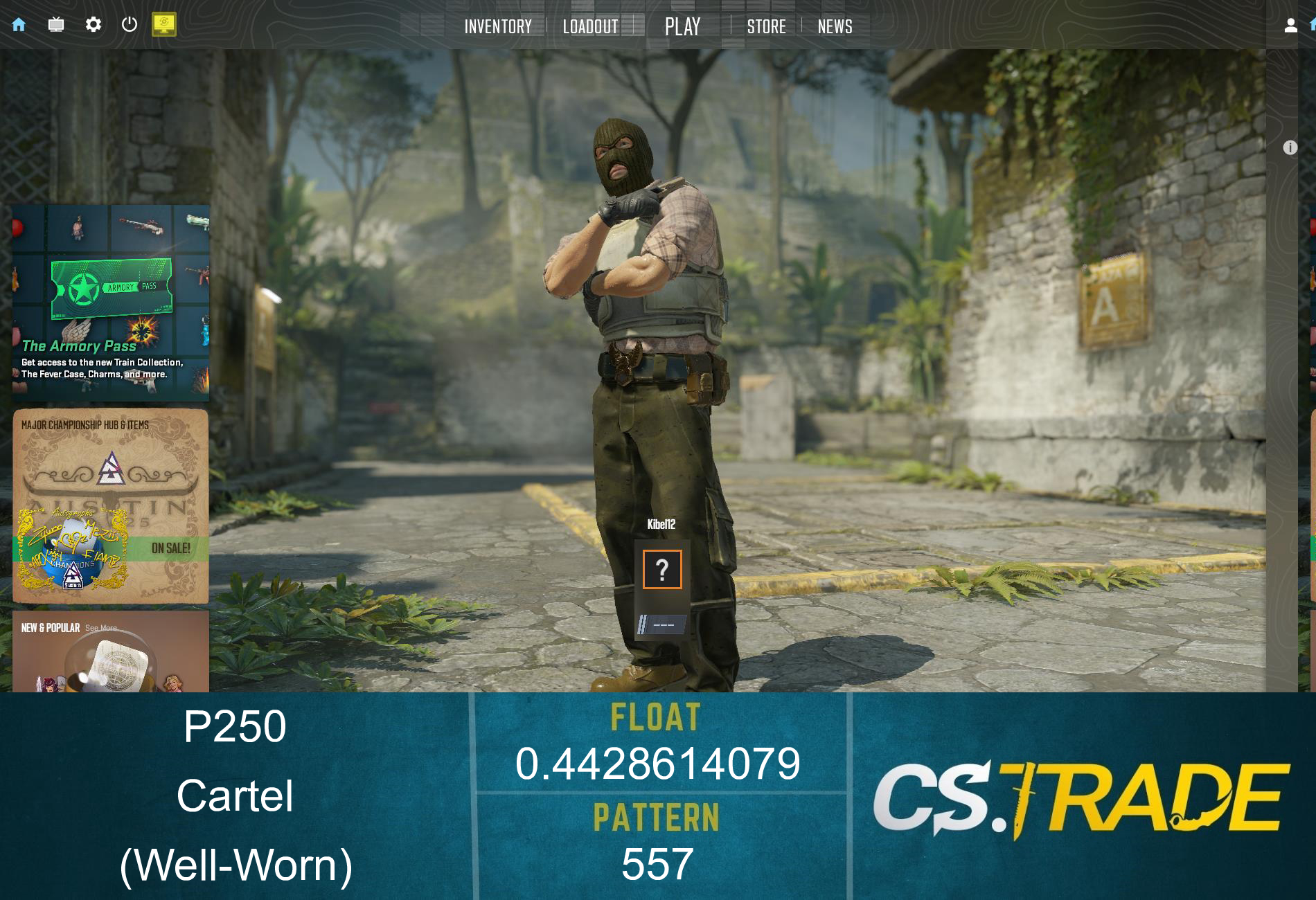 P250 | Cartel (Well-Worn) Screenshot