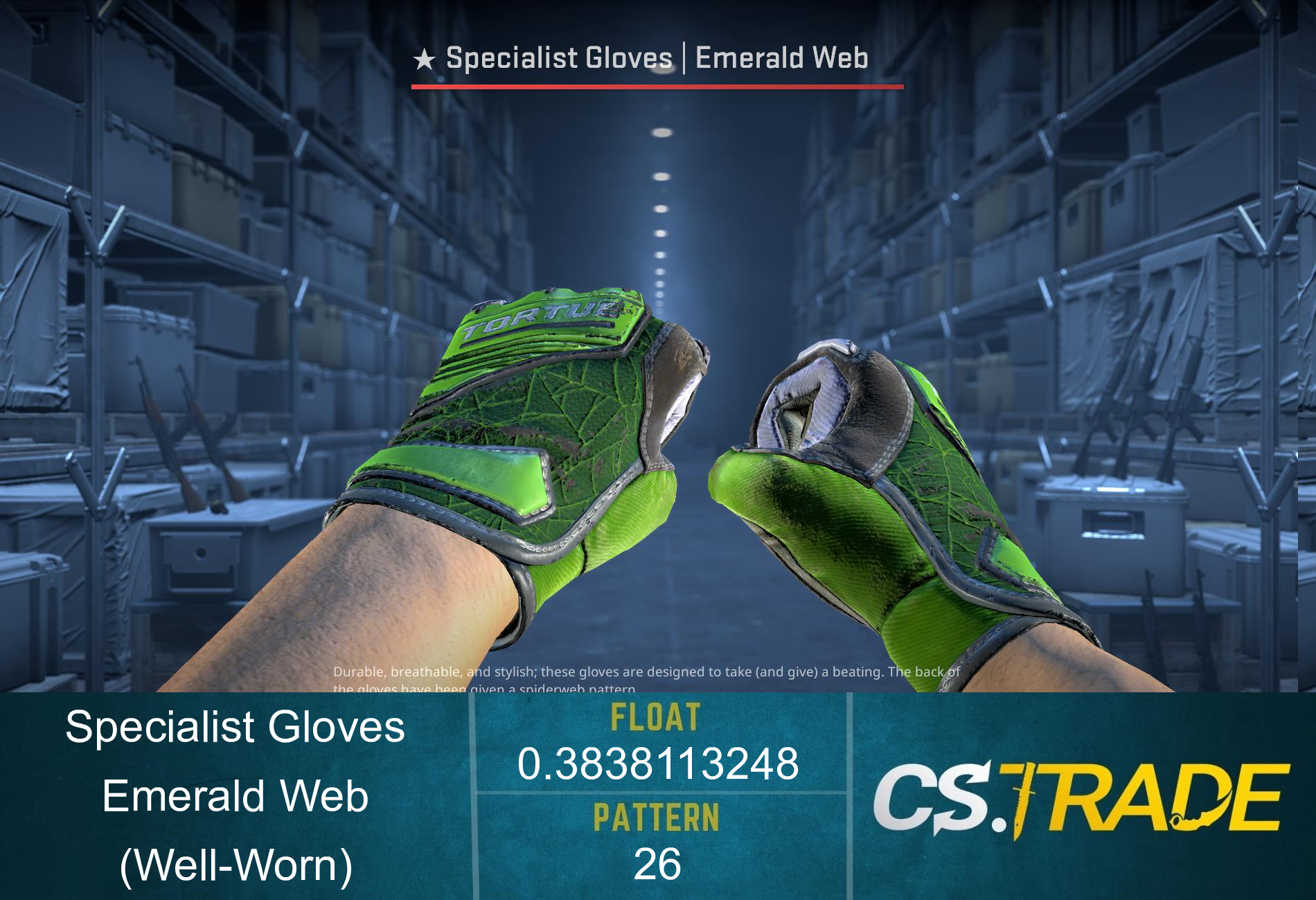 ★ Specialist Gloves | Emerald Web (Well-Worn) Screenshot