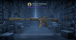 M4A1-S | Flashback (Well-Worn) Screenshot