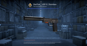 StatTrak™ USP-S | Stainless (Battle-Scarred) Screenshot