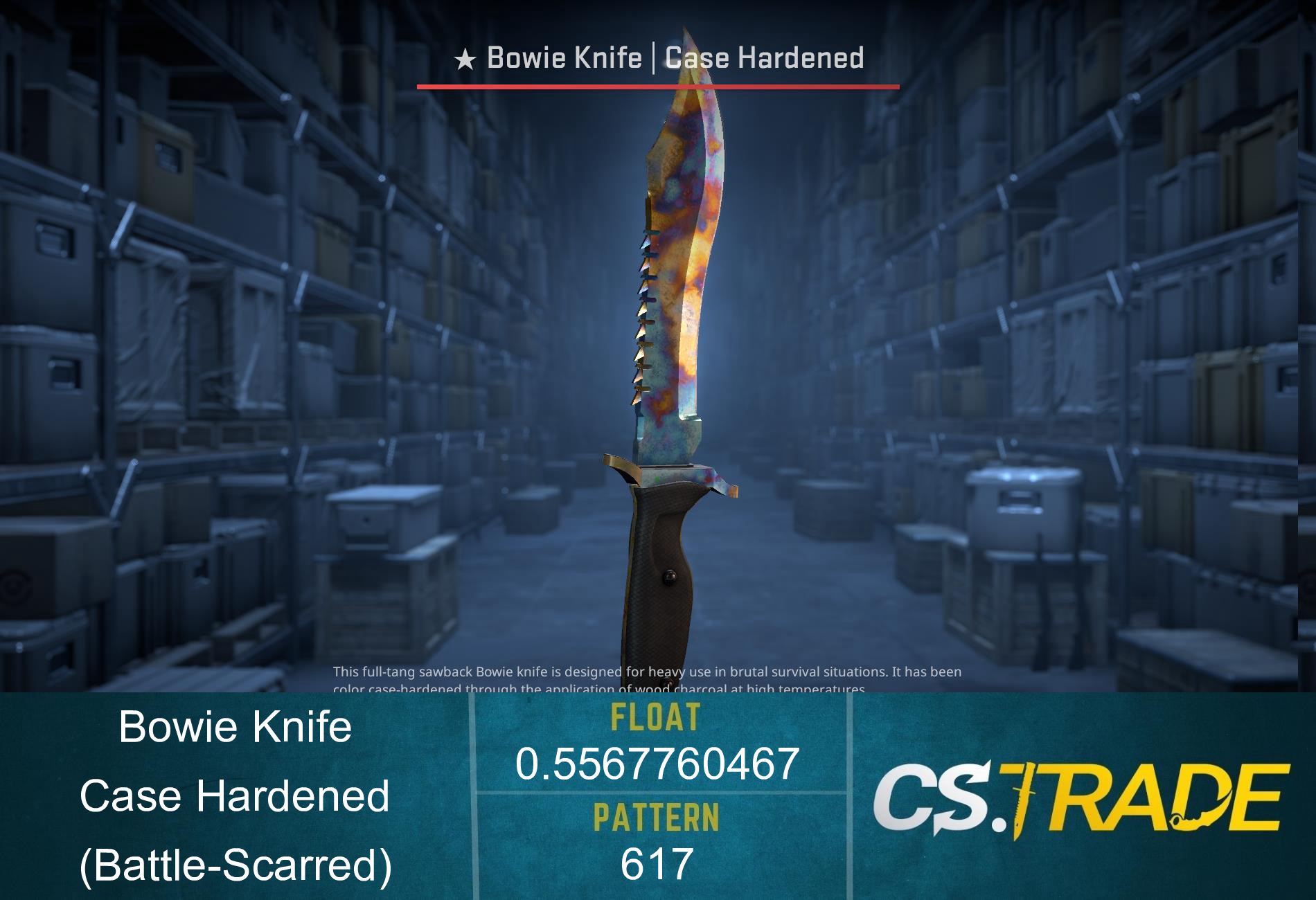 ★ StatTrak™ Bowie Knife | Case Hardened (Battle-Scarred) Screenshot
