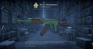 AK-47 | Wintergreen (Factory New) Screenshot