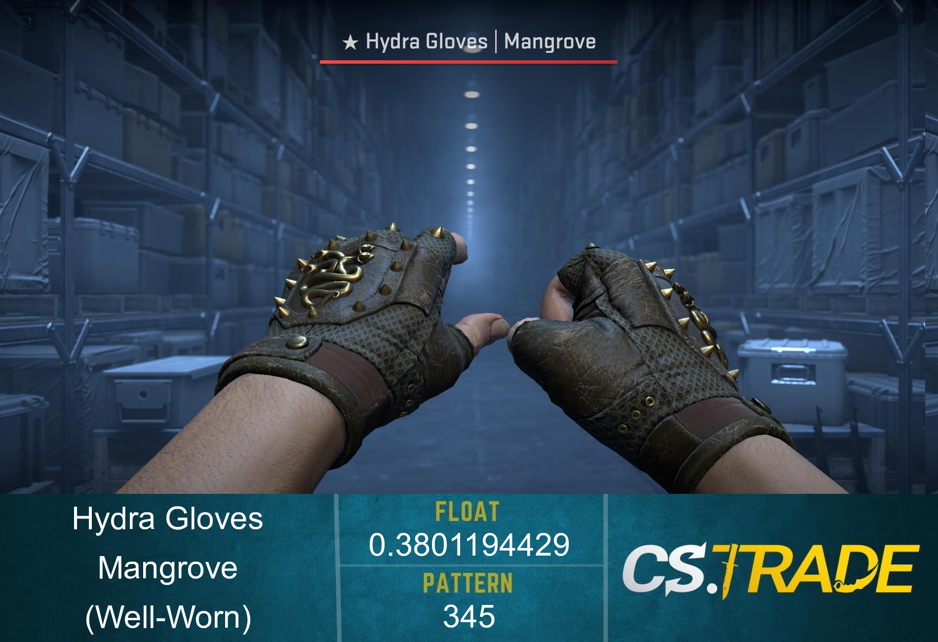 ★ Hydra Gloves | Mangrove (Well-Worn) Screenshot