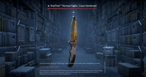 ★ StatTrak™ Nomad Knife | Case Hardened (Well-Worn) Screenshot