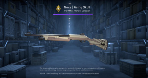 Nova | Rising Skull (Factory New) Screenshot
