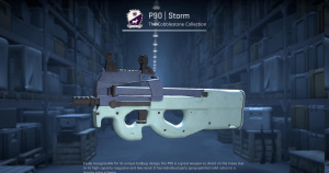 P90 | Storm (Field-Tested) Screenshot