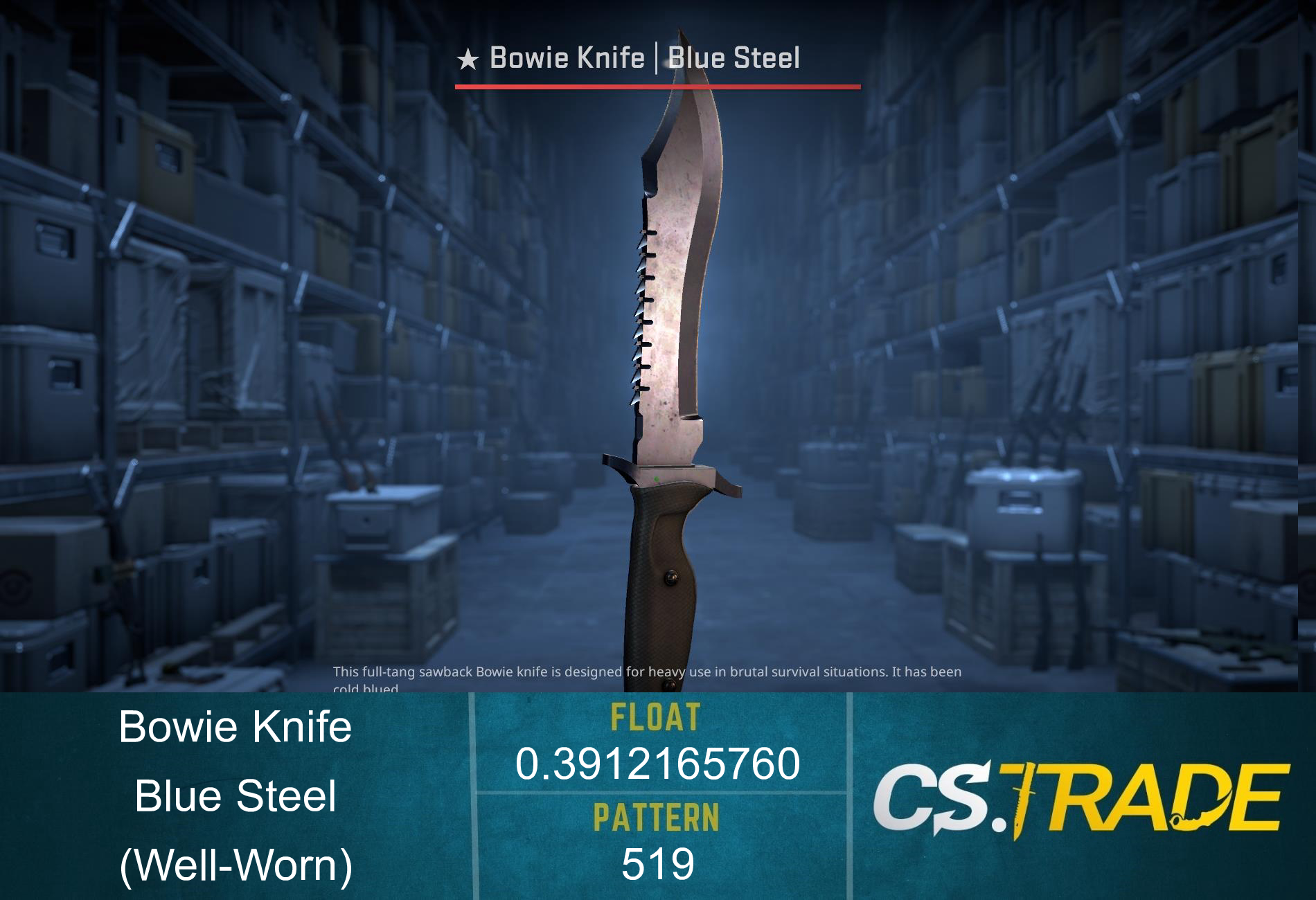 ★ Bowie Knife | Blue Steel (Well-Worn) Screenshot