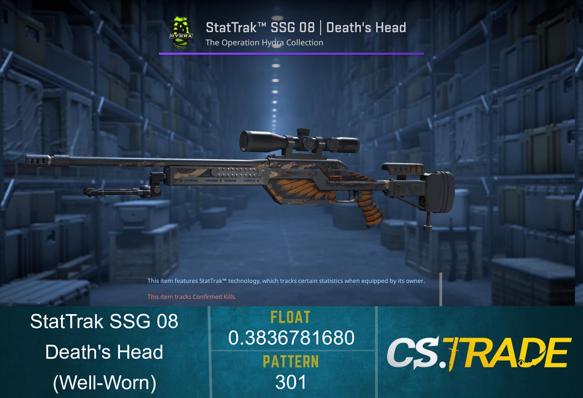 StatTrak™ SSG 08 | Death's Head (Well-Worn) Screenshot
