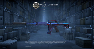 M4A1-S | Liquidation (Minimal Wear) Screenshot