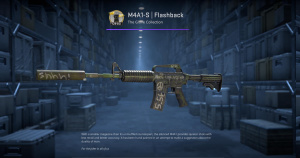 M4A1-S | Flashback (Factory New) Screenshot