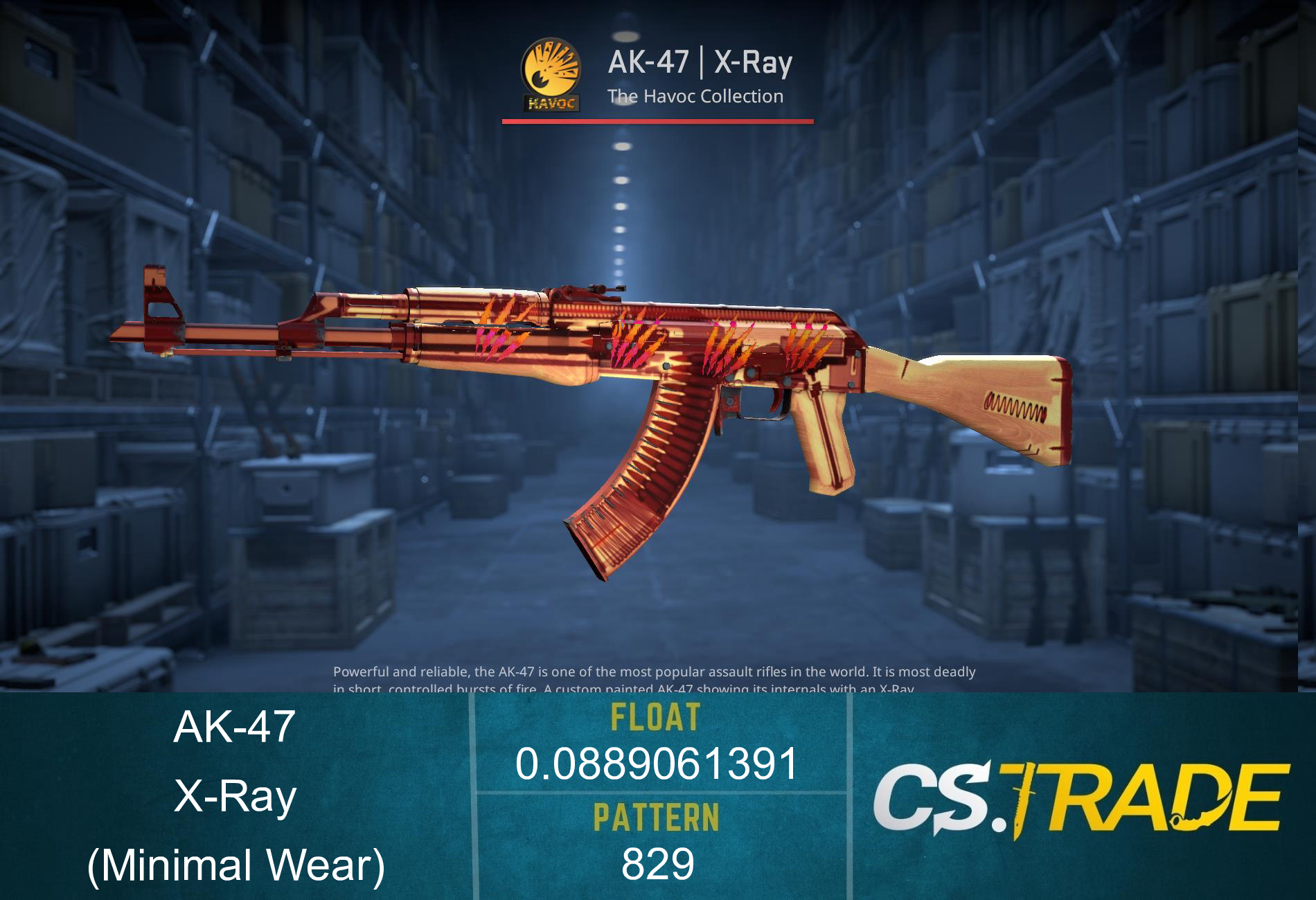 AK-47 | X-Ray (Minimal Wear) Screenshot