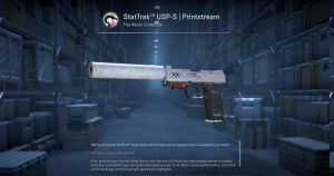 StatTrak™ USP-S | Printstream (Battle-Scarred) Screenshot