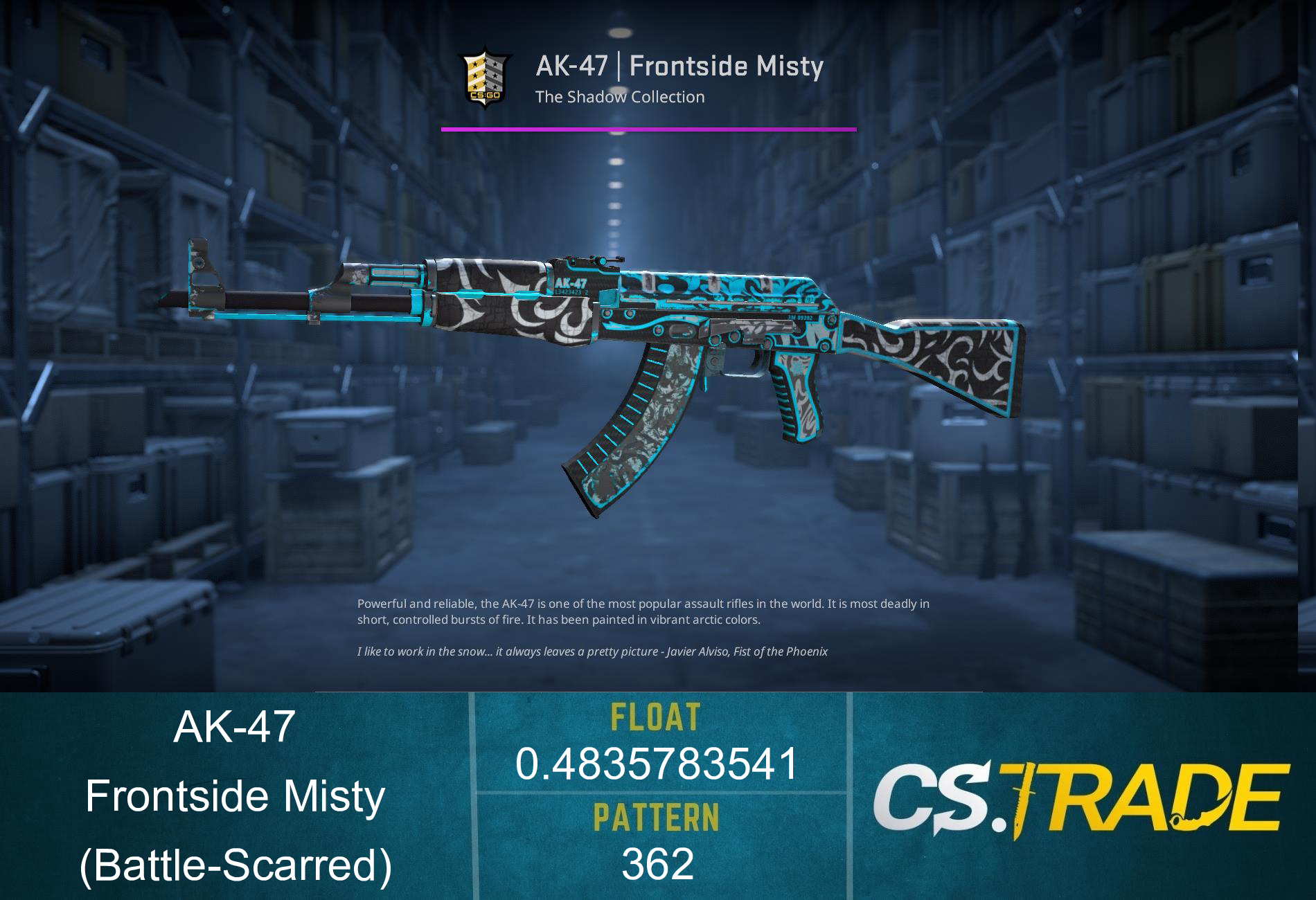 AK-47 | Frontside Misty (Battle-Scarred) Screenshot