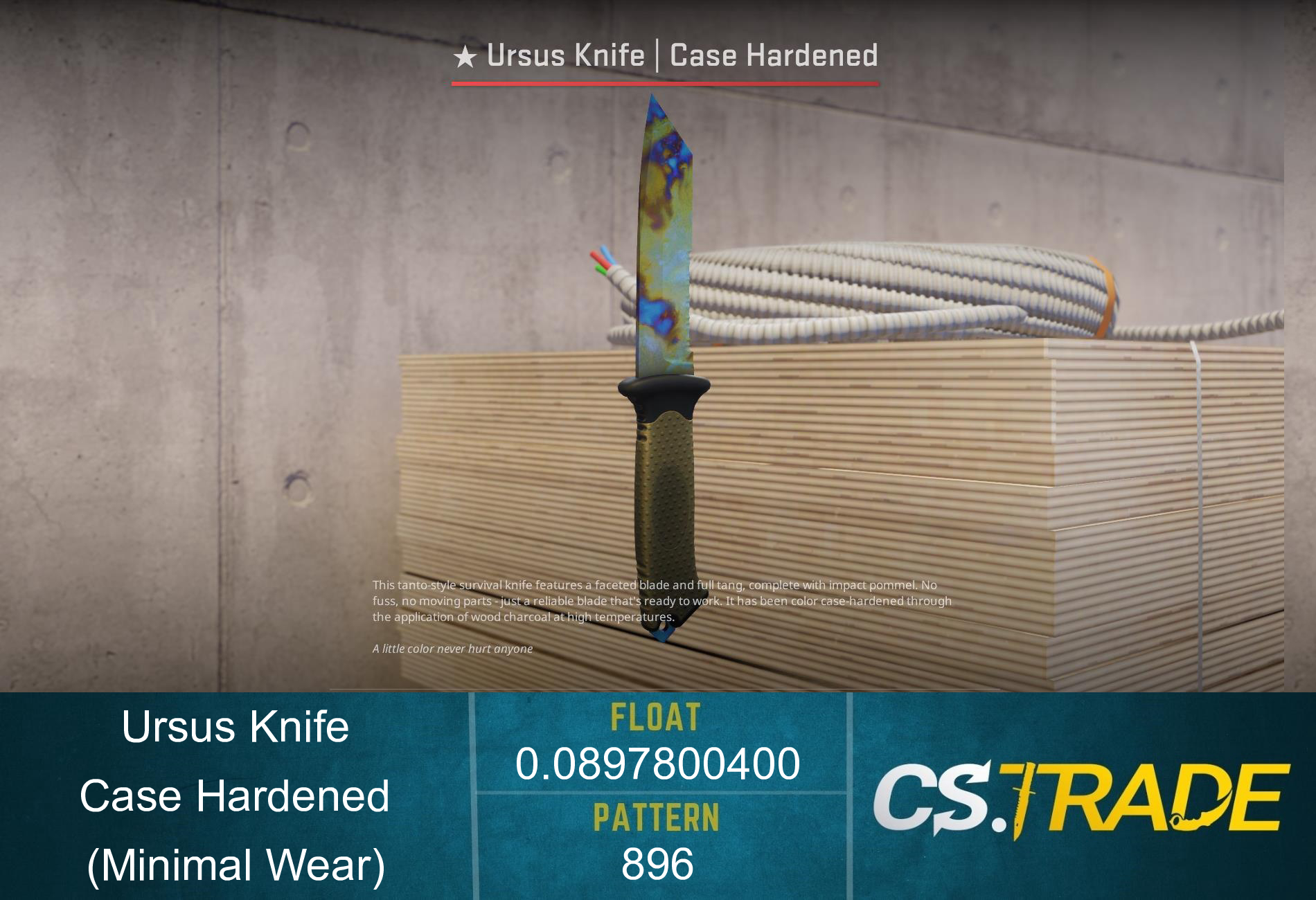 ★ Ursus Knife | Case Hardened (Minimal Wear) Screenshot
