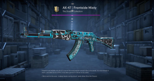 AK-47 | Frontside Misty (Field-Tested) Screenshot