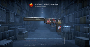 StatTrak™ USP-S | Guardian (Field-Tested) Screenshot