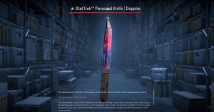 ★ StatTrak™ Paracord Knife | Doppler Phase 1 (Factory New) Screenshot